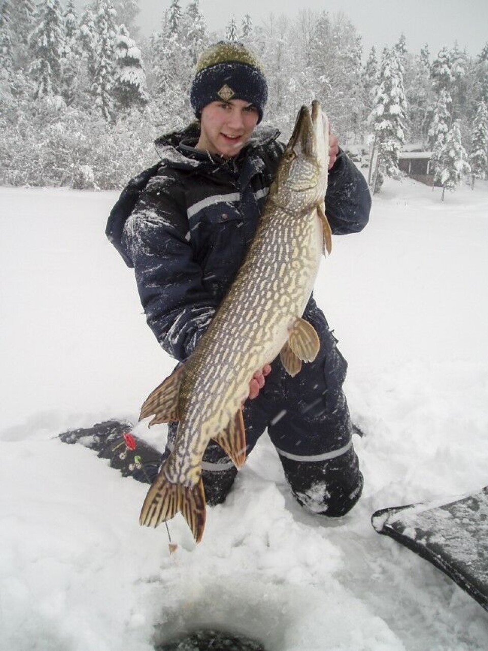 Selv om lyse og stille dager ofte gir mest fisk, er det alltid mulig å få gjedda til å bite. Gjeddemester Morten Opsahl poserer her med en av sine mange storgjedder på Selv om lyse og stille dager ofte gir mest fisk, er det alltid mulig å få gjedda til å bite. Gjeddemester Morten Opsahl poserer her med en av sine mange storgjedder på