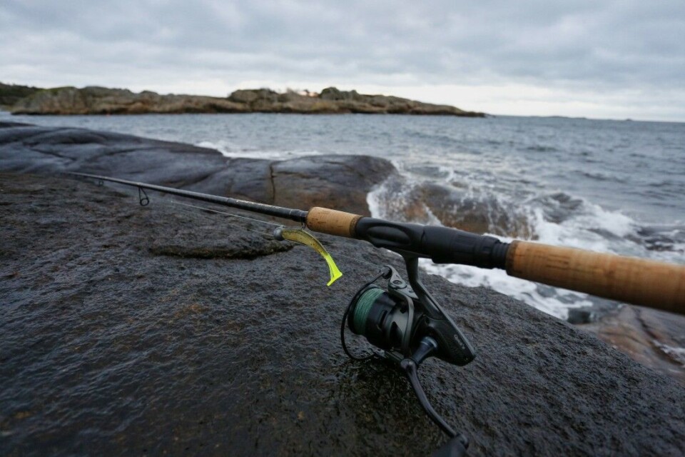 Dersom resten av Kinetics oppgraderte fiskestenger gir like mye stang for pengene som Battler CF gjør, ønsker vi dem hjertelig velkommen. Dersom resten av Kinetics oppgraderte fiskestenger gir like mye stang for pengene som Battler CF gjør, ønsker vi dem hjertelig velkommen.
