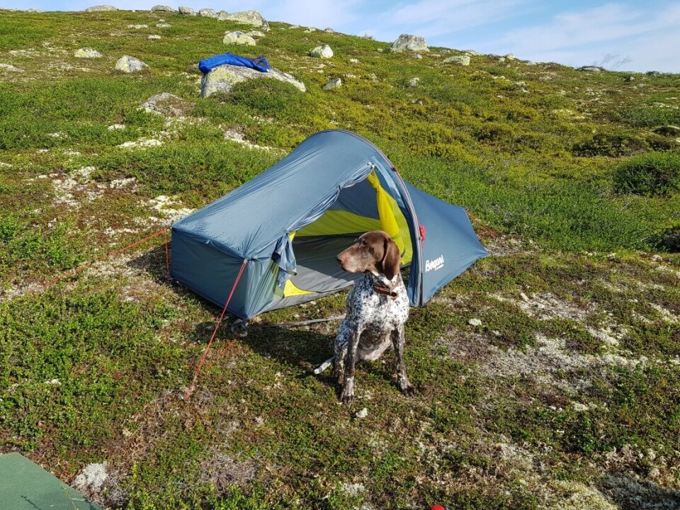 Romslig og robust telt for einstøinger Test av Bergans Trollhetta 1 person