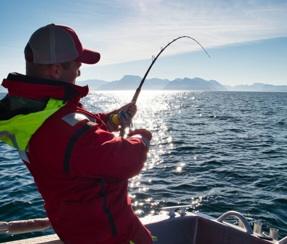 Små sneller som takler stor fisk