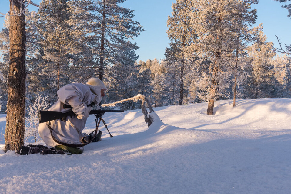 Skogsfugljakt – tips og triks