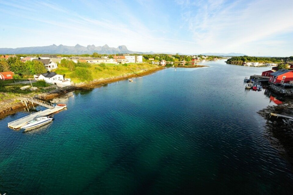 Øykommunen Herøy utenfor Sandnessjøen teller 1781 innbyggere – og hundrevis av rådyr. Øykommunen Herøy utenfor Sandnessjøen teller 1781 innbyggere – og hundrevis av rådyr.