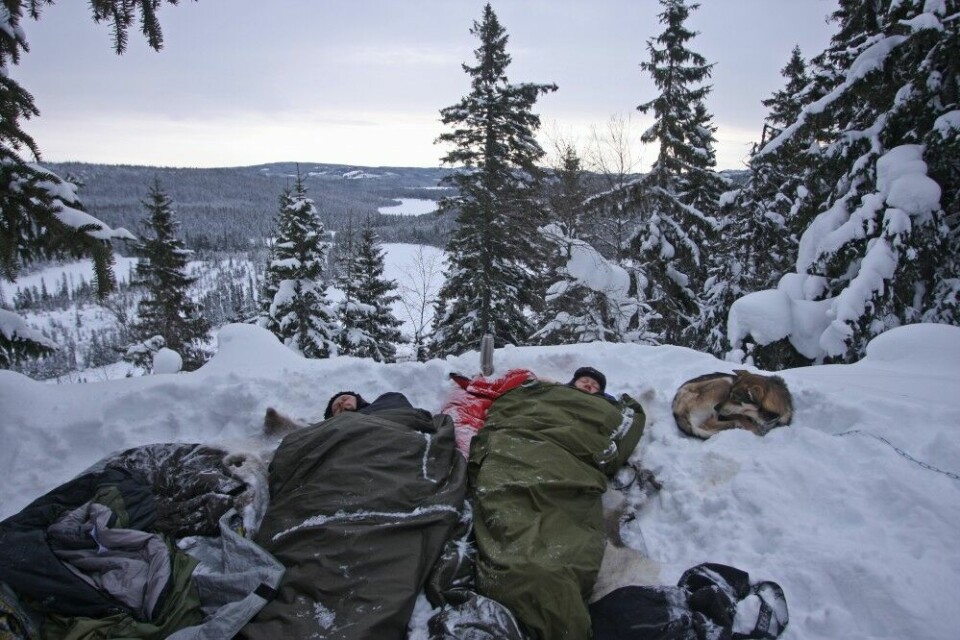Ved tørt vintervær i skogen, kan du klare deg fint uten telt eller tarp. Et værbestandig trekk eller en fjellduk rundt soveposen, er da å anbefale.