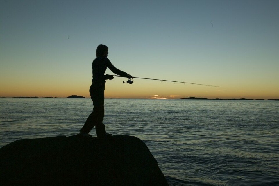 Sola starter eller avslutter nattfisket. En grei huskeregel er at du bør være klar omtrent to timer før solnedgang, og to timer før soloppgang. Sola starter eller avslutter nattfisket. En grei huskeregel er at du bør være klar omtrent to timer før solnedgang, og to timer før soloppgang.