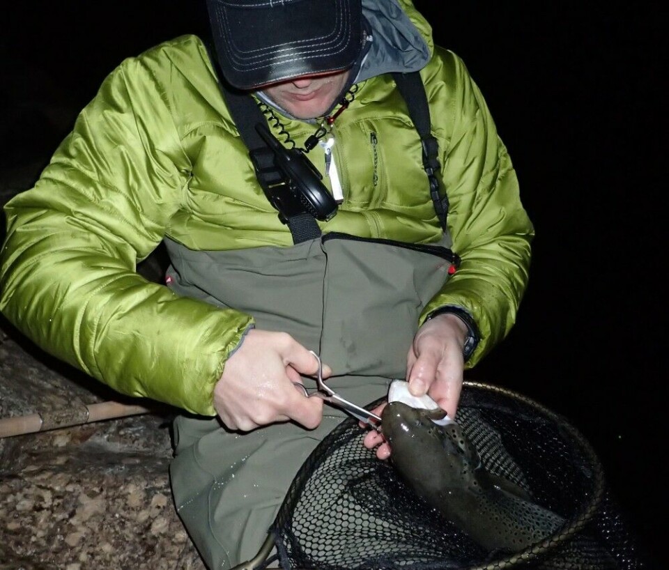Etter tre middels gode døgn i et storørretvann i nord, satset Martin Ellingsen alt på nattfiske natta før returen. Med et knippe daue smårøyer og streng lyd- og lysdisiplin, kunne turen krones med flere ørreter i to-kilosklassen fra en odde i bekmørket. Etter tre middels gode døgn i et storørretvann i nord, satset Martin Ellingsen alt på nattfiske natta før returen. Med et knippe daue smårøyer og streng lyd- og lysdisiplin, kunne turen krones med flere ørreter i to-kilosklassen fra en odde i bekmørket.