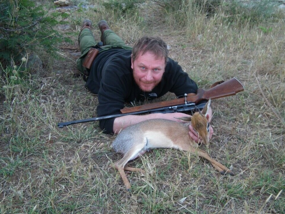 Små antiloper byr på store jaktopplevelser, her en Damara Dik-Dik felt i Namibia i 2012. Den lever i bushen i Namibia og det sørvestlige Angola, er mellom 30–40 centimeter i skulderhøyde og veier mellom 3–8 kilo.