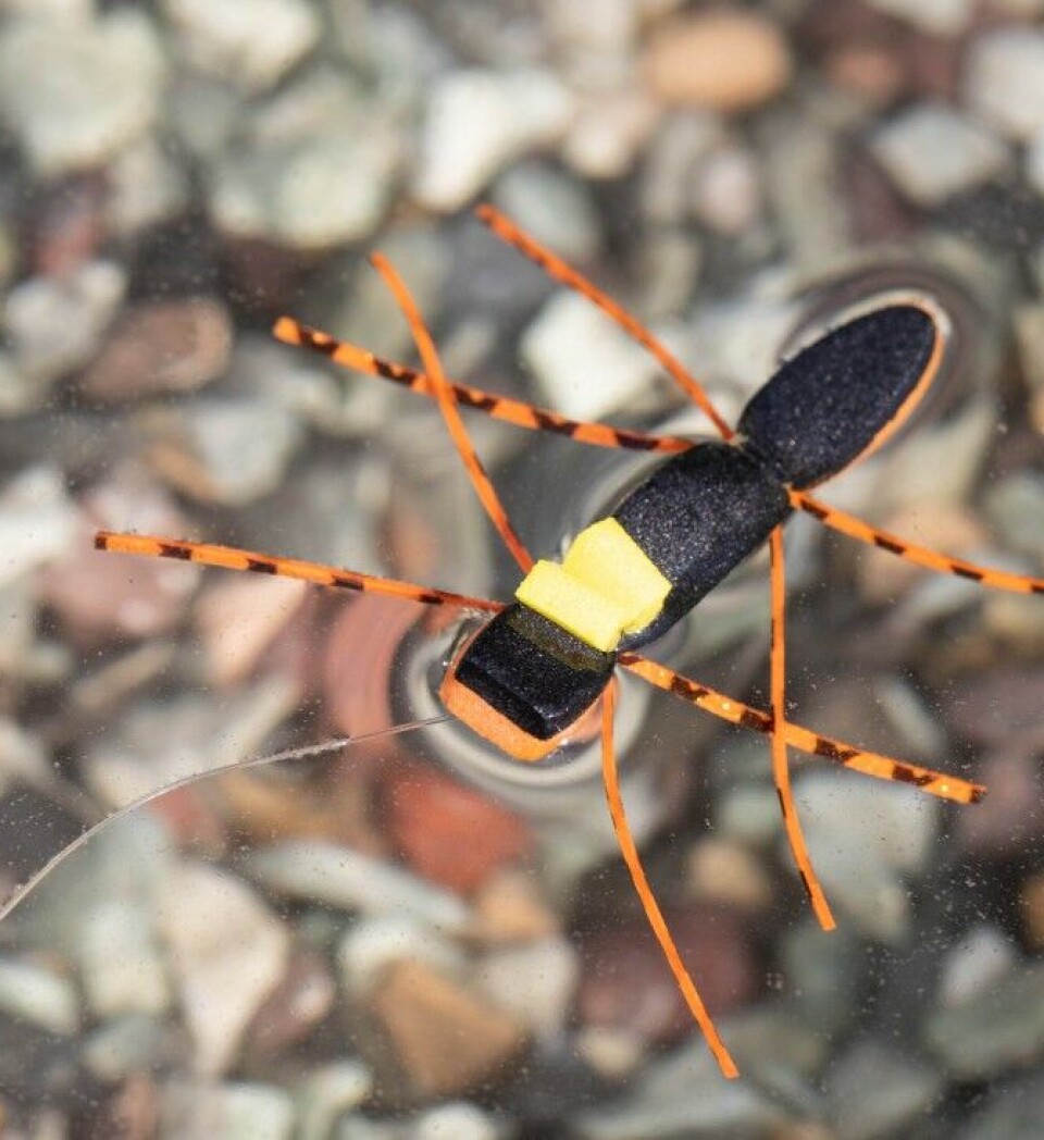 Slik binder du Chernobyl Ant