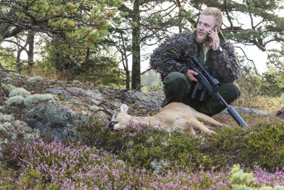 Plan B resulterer i bukkefall. På tide å meddele at det var den bukken, og høre hvordan det ligger an med jaktkompisen … Plan B resulterer i bukkefall. På tide å meddele at det var den bukken, og høre hvordan det ligger an med jaktkompisen …