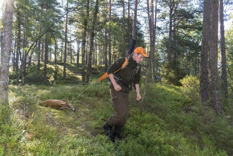 Slit? Ingen ting er lettere enn å slepe en flott sekstakker fram til bilvei! Slit? Ingen ting er lettere enn å slepe en flott sekstakker fram til bilvei!