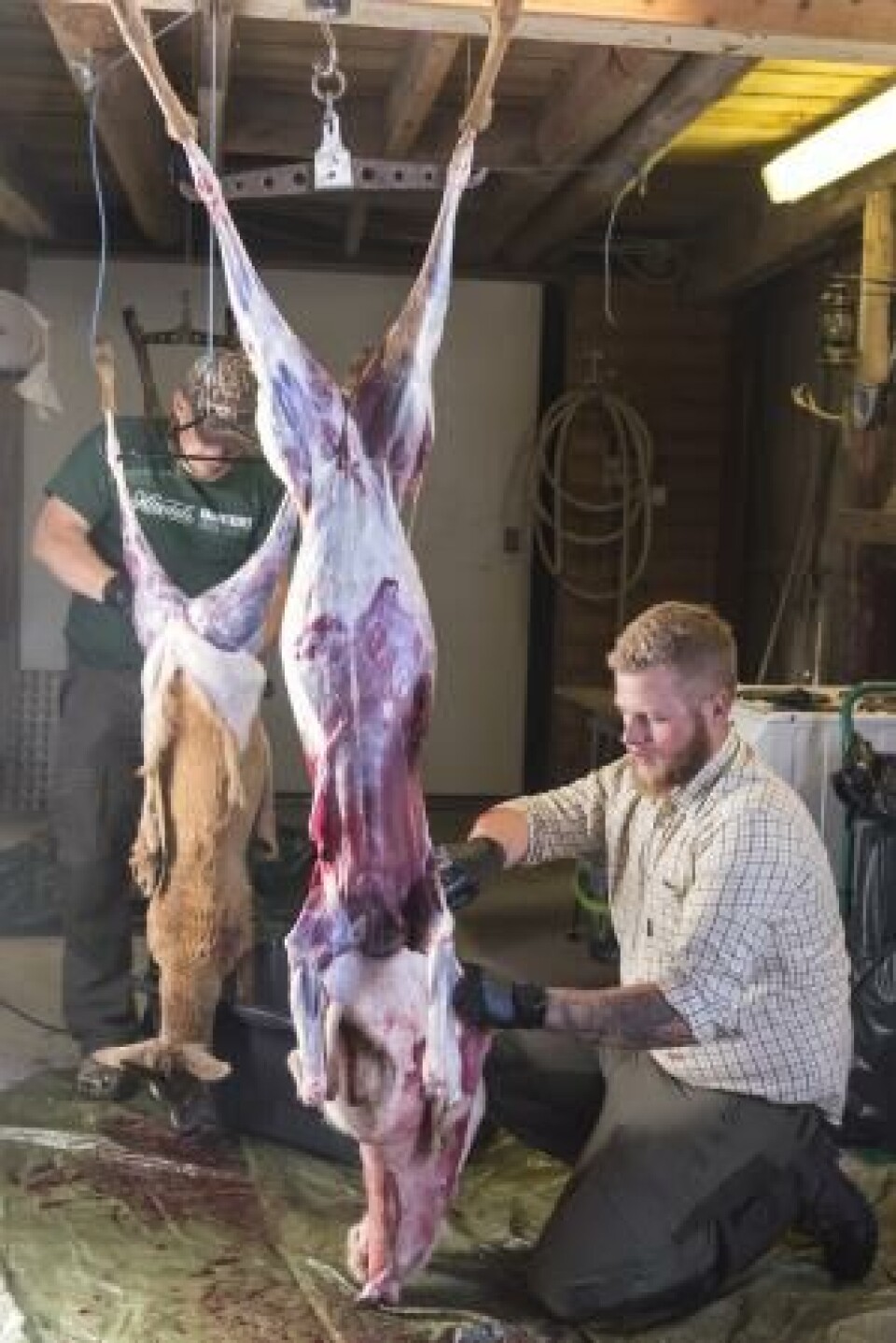 Kim Karlsen og Roger Pande Løwall i Brunlanes driver en svært selektiv jakt. Å konsentrere seg om akkurat den bukken, og få den, gir en spesiell tilfredsstillelse. Det forutsetter at man kjenner sine bukker. Kim Karlsen og Roger Pande Løwall i Brunlanes driver en svært selektiv jakt. Å konsentrere seg om akkurat den bukken, og få den, gir en spesiell tilfredsstillelse. Det forutsetter at man kjenner sine bukker.