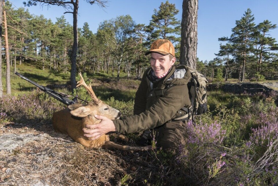 Strategi for bukkejakta