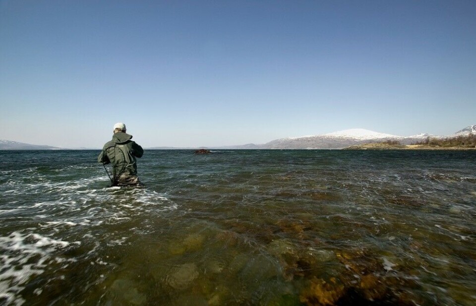 I Salten må du ha skikkelig uflaks om du ikke finner en god fiskeplass. Her fra Alvenes «midt» i Skjerstadfjorden. I Salten må du ha skikkelig uflaks om du ikke finner en god fiskeplass. Her fra Alvenes «midt» i Skjerstadfjorden.