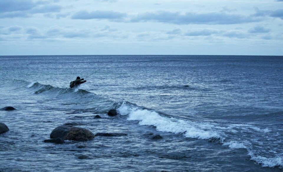 Kystfisket på Bornholm er ikke for hvem som helst. Store bølger og vanskelige vade­ forhold kan sette selv den tøffeste på prøve.