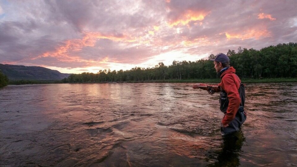 Lakseelva i bunnen av Porsangerfjorden leverte rundt 6000 kg laks i sommer, det er halvparten av et toppår. Lakseelva i bunnen av Porsangerfjorden leverte rundt 6000 kg laks i sommer, det er halvparten av et toppår.