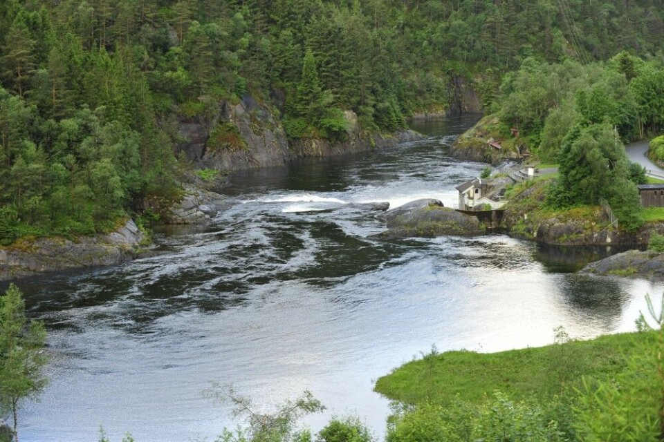Suldalslågen holder tronen som storlaksdestinasjon på Sør-Vestlandet. Her ved den attraktive Sandsfossen i munningsområdet. Suldalslågen holder tronen som storlaksdestinasjon på Sør-Vestlandet. Her ved den attraktive Sandsfossen i munningsområdet.