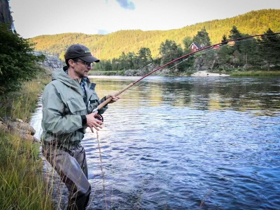 Smålaksen var også i sommer hjertelig til stede i Mandalselva, den beste av sørlandselvene. Smålaksen var også i sommer hjertelig til stede i Mandalselva, den beste av sørlandselvene.