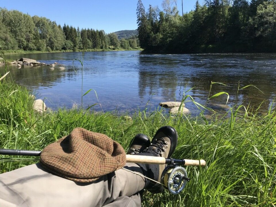 Hva er det med Numedalslågen? Elva holder koken som en av landets mest fangstrike lakseelver. Her i Brufoss-området i øvre lakseførende del. Hva er det med Numedalslågen? Elva holder koken som en av landets mest fangstrike lakseelver. Her i Brufoss-området i øvre lakseførende del.