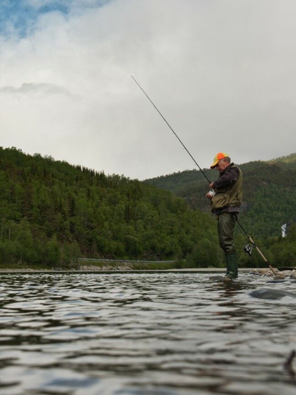 Markfiske er en behagelig fiskeform med enorm variasjon. Driftfiske er vanskeligst og går hardt utover beholdningen av søkker kroker og mark. Etter hvert som man blir mer erfaren, mister man mindre. Markfiske er en behagelig fiskeform med enorm variasjon. Driftfiske er vanskeligst og går hardt utover beholdningen av søkker kroker og mark. Etter hvert som man blir mer erfaren, mister man mindre.
