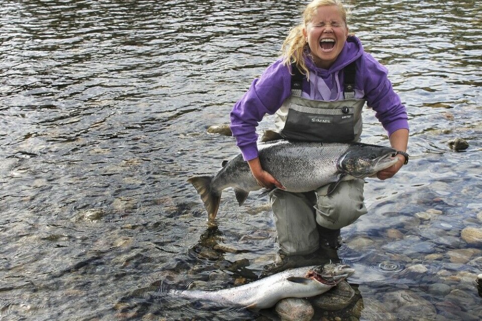 Målselva, soleklar ener i Troms, og en av landets beste lakseelver, ligger 10 minutter unna NM-arenaen. Vi anbefaler den flere mil lange strekningene oppstrøms Målselvfossen, med innbydende soner. Her Inger Lise Brones med 13 kilo lakselykke fra Nymo, et av toppvaldene i Øvre Målselv. . Foto: Privat Målselva, soleklar ener i Troms, og en av landets beste lakseelver, ligger 10 minutter unna NM-arenaen. Vi anbefaler den flere mil lange strekningene oppstrøms Målselvfossen, med innbydende soner. Her Inger Lise Brones med 13 kilo lakselykke fra Nymo, et av toppvaldene i Øvre Målselv. . Foto: Privat