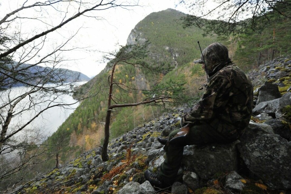 Det er storslått i Nordheimsdalen jaktfelt – om du liker det bratt og tett. Det er storslått i Nordheimsdalen jaktfelt – om du liker det bratt og tett.
