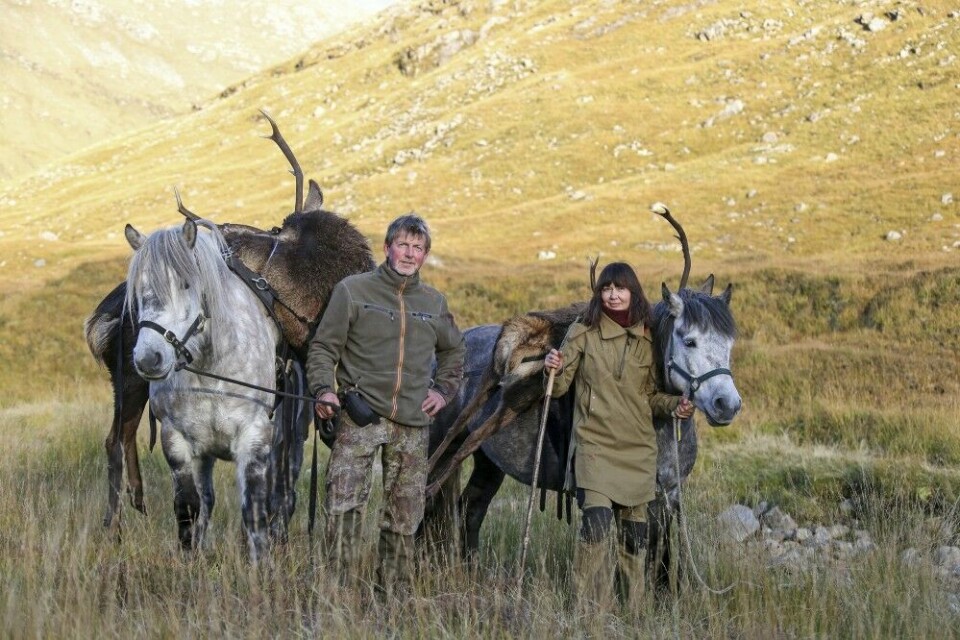 Hestekrefter i form av ponnier er noe du fort verdsetter som hjortejeger i det skotske høylandet, når felt dyr skal fraktes ned i dalen.