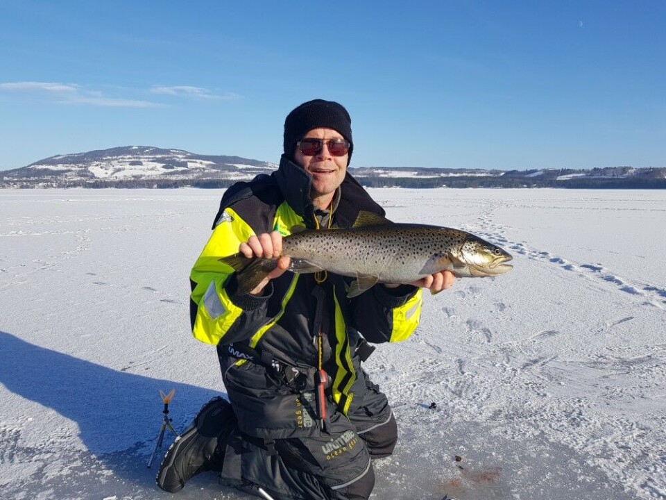 Ørret over trekilosgrensen høres for mange ut som fjern drøm. Men fisker man med agn i gode vann, er det faktisk ikke så uvanlig. Her viser Oddvar Henriksen fram et flott eksemplar på nettopp tre kilo blank fra Mjøsas mange hotspots langt fra land. Ørret over trekilosgrensen høres for mange ut som fjern drøm. Men fisker man med agn i gode vann, er det faktisk ikke så uvanlig. Her viser Oddvar Henriksen fram et flott eksemplar på nettopp tre kilo blank fra Mjøsas mange hotspots langt fra land.
