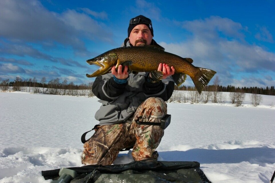 En gedigen ørretfangst fra lite vann på Østlandet. Rapala Pro Guide, Terje Spjelkavik er ingen ukjent ørretjeger, men når fisk av dette kaliberet viser hodet under ishullet, får vi alle skjelven, guide eller ikke guide! Vekta bikket femkilosmerket med god margin. En gedigen ørretfangst fra lite vann på Østlandet. Rapala Pro Guide, Terje Spjelkavik er ingen ukjent ørretjeger, men når fisk av dette kaliberet viser hodet under ishullet, får vi alle skjelven, guide eller ikke guide! Vekta bikket femkilosmerket med god margin.