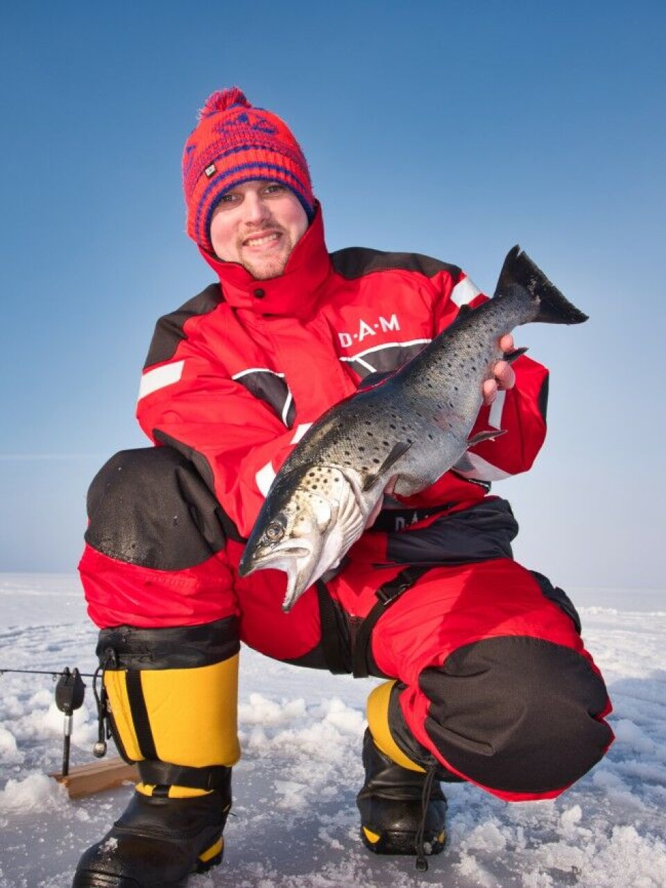 Flott ørret fanget på hel lagesild under Mjøsisen. Mjøsa har lange tradisjoner for bruk av hel agnfisk, og her brukes både ofte mort, sik, laue, krøkle og lagesild som agn under dupp, til dorging eller til isfiske. Flott ørret fanget på hel lagesild under Mjøsisen. Mjøsa har lange tradisjoner for bruk av hel agnfisk, og her brukes både ofte mort, sik, laue, krøkle og lagesild som agn under dupp, til dorging eller til isfiske.