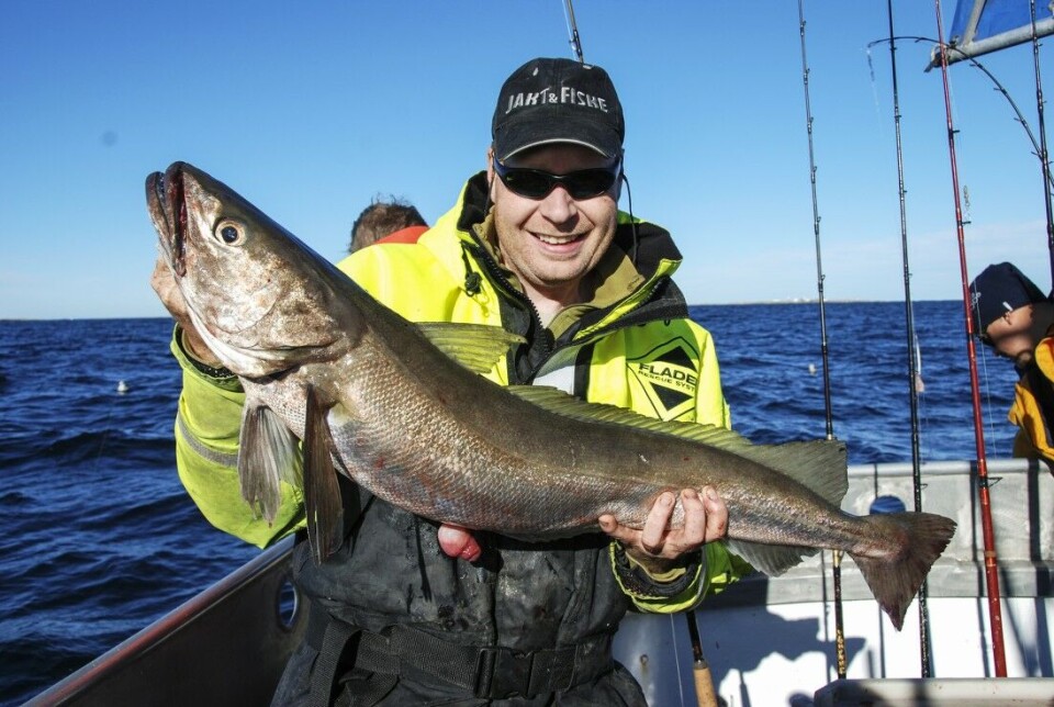 Lysing (Merluccius merluccius): Dette er en ordentlig sint fisk, som finnes fra Lofoten og sørover. Bruk gjerne hel agnfisk på dyp fra 100–250 meter. Frøya i Sør-Trøndelag er en utmerket destinasjon. Strålende matfisk. Lysing (Merluccius merluccius): Dette er en ordentlig sint fisk, som finnes fra Lofoten og sørover. Bruk gjerne hel agnfisk på dyp fra 100–250 meter. Frøya i Sør-Trøndelag er en utmerket destinasjon. Strålende matfisk.