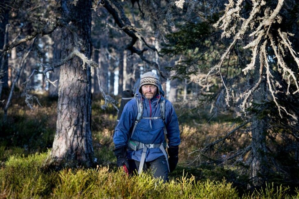 Mange skogsfugljegere vil straks kjenne igjen en god storfuglbiotop. Høy andel gammel skog, furutrær, blåbærlyng og naturlige fuktdrag er noen av kjennetegnene. Mange skogsfugljegere vil straks kjenne igjen en god storfuglbiotop. Høy andel gammel skog, furutrær, blåbærlyng og naturlige fuktdrag er noen av kjennetegnene.