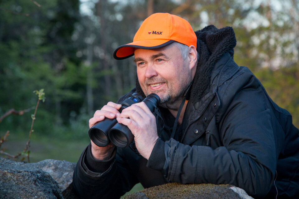 Tom Nalum er jevnlig ute i kveldinga for å spane etter rådyra i terrenget. I dette området går det flere flotte bukker. Tom Nalum er jevnlig ute i kveldinga for å spane etter rådyra i terrenget. I dette området går det flere flotte bukker.