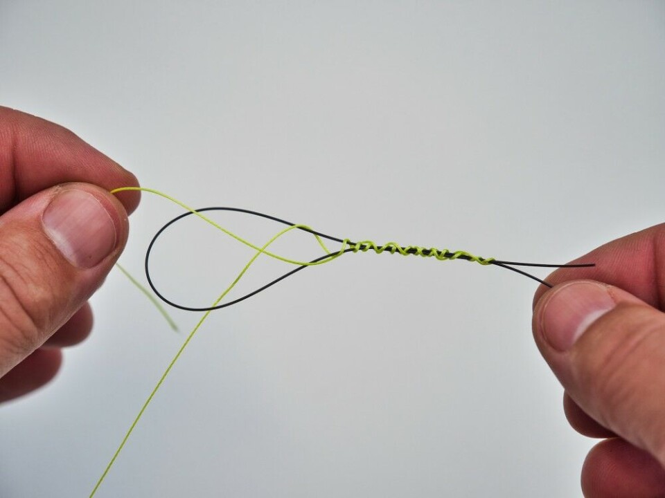 Hold på enden av surringene med tommel og pekefinger, og tvinn halvparten så mange ganger tilbake. (12 opp, blir 6 ned). Stikk så stumpen gjennom løkken – samme vei som den kom inn. Hold på enden av surringene med tommel og pekefinger, og tvinn halvparten så mange ganger tilbake. (12 opp, blir 6 ned). Stikk så stumpen gjennom løkken – samme vei som den kom inn.