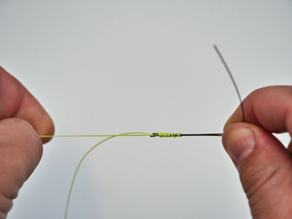 Fukt knuten, og stram passe hardt til med hovedlinen. De fleste liner ruller seg pent sammen og pakkes fint. Om ikke, kan du presse den sammen ved å «åpne» de to monofilamentsnørene til du er fornøyd. Fukt knuten, og stram passe hardt til med hovedlinen. De fleste liner ruller seg pent sammen og pakkes fint. Om ikke, kan du presse den sammen ved å «åpne» de to monofilamentsnørene til du er fornøyd.