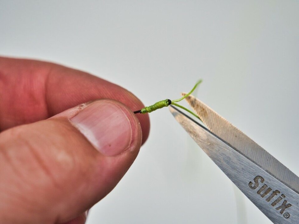 Klipp så bort stumpene. Monofilamenten klippes helt bort, mens multifilamentstumpen bør være om lag 1–3 mm. Om ønskelig, kan man legge på noen halvstikk og en låseknute før man klipper. (Slik som på FG)