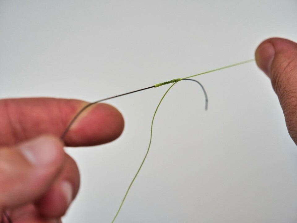 Stram nå i hovedlinene (ikke stumpen) så hard du makter. Bruk gjerne hansker, og ikke gi deg før knuten er blitt helt eller delvis transparent (mørk i fargen). Stram nå i hovedlinene (ikke stumpen) så hard du makter. Bruk gjerne hansker, og ikke gi deg før knuten er blitt helt eller delvis transparent (mørk i fargen).