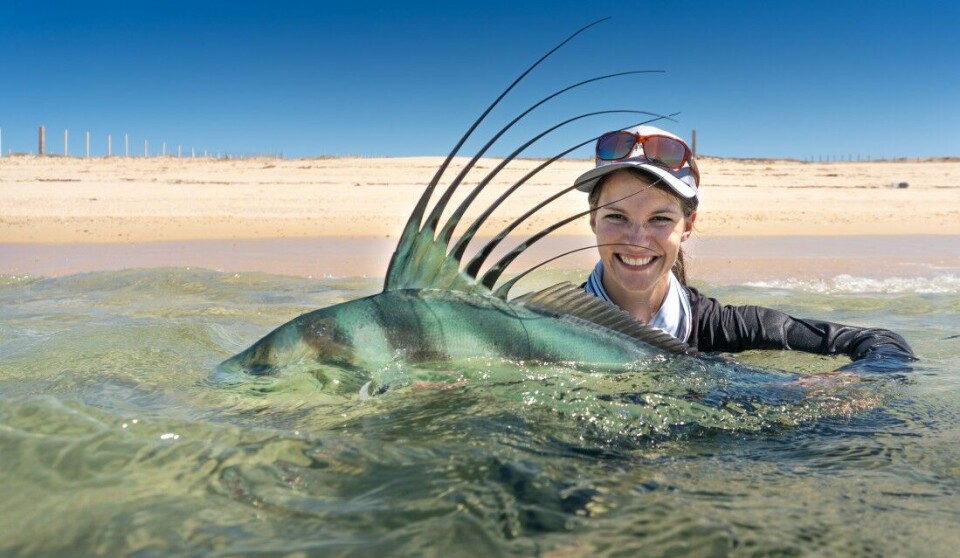 Den karakteristiske ryggfinnen som minner om en hanekam, har gitt fisken navnet roosterfish på engelsk. Hanefisk er en dugelig norsk oversettelse. Den karakteristiske ryggfinnen som minner om en hanekam, har gitt fisken navnet roosterfish på engelsk. Hanefisk er en dugelig norsk oversettelse.
