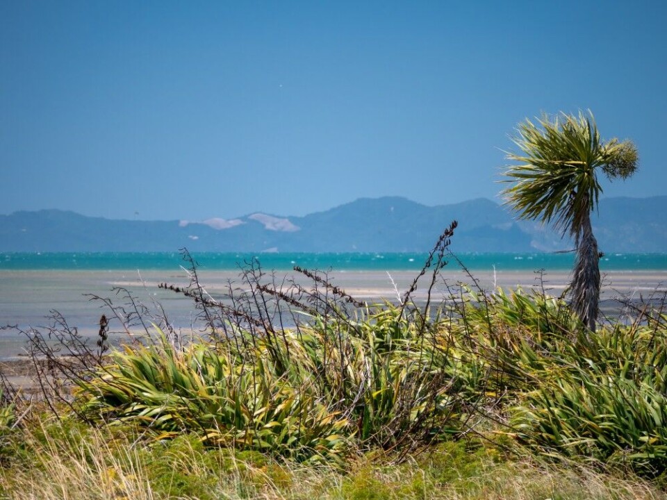 Det er høysommer i Golden Bay, New Zealand. Det er høysommer i Golden Bay, New Zealand.