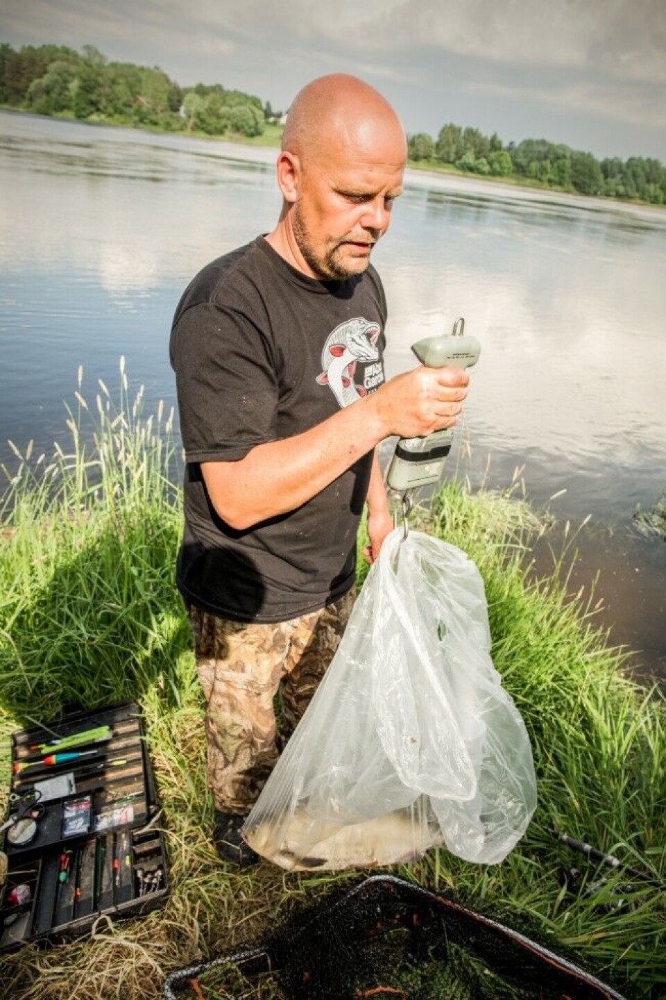 Vekta stoppet på knappe to kilo for vederbuken.