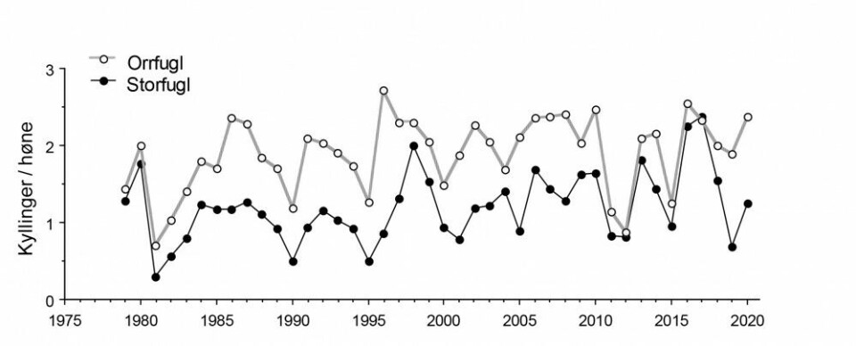 Kyllingproduksjonen (antall kyllinger per høne) hos orrfugl og storfugl på Varaldskogen 1979‐2020. Kyllingproduksjonen (antall kyllinger per høne) hos orrfugl og storfugl på Varaldskogen 1979‐2020.