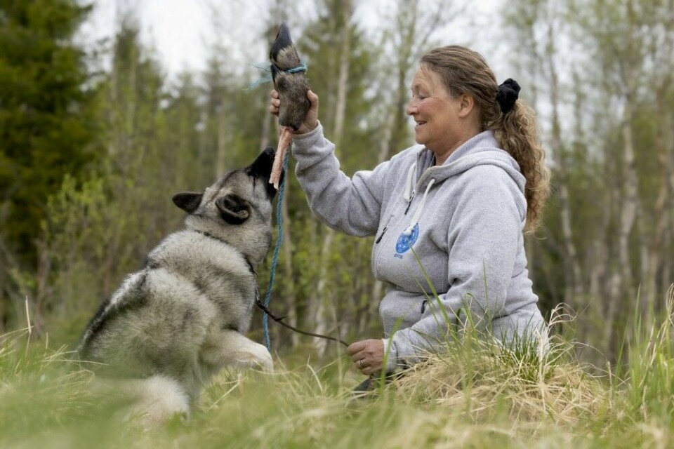 Hund er en av Anita Verås-Nordskags store lidenskaper, her med grå- hunden Resteröds Troll.