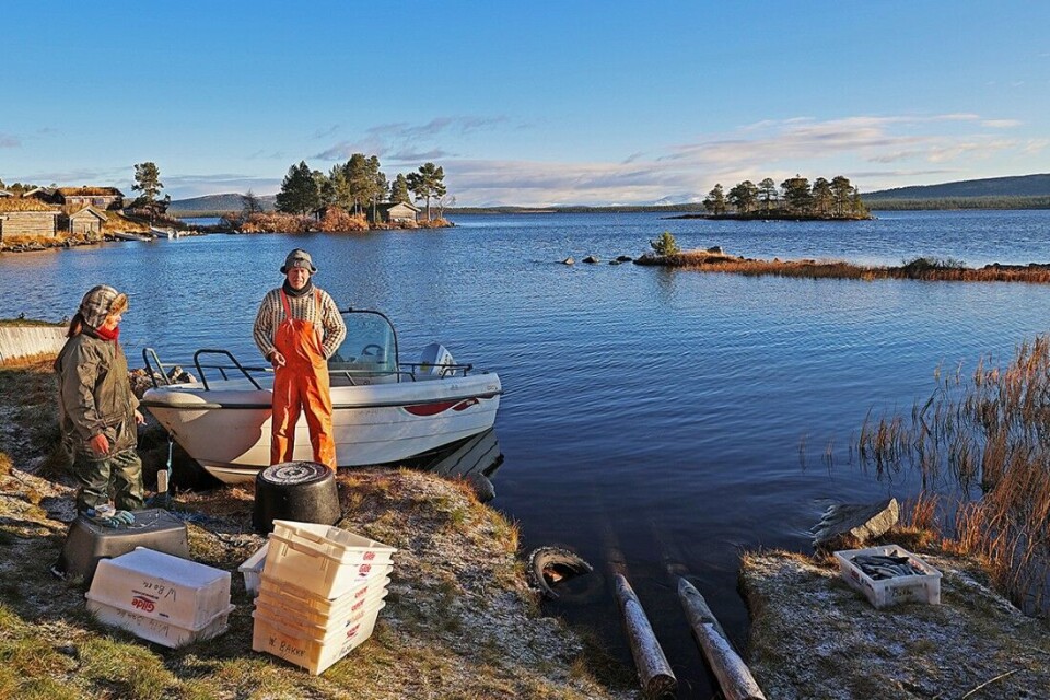Willy og Sissel Bakke er en del av den harde kjernen som bidrar til å holde det tradisjonsrike høstfisket i Sølensjøen i hevd. Willy og Sissel Bakke er en del av den harde kjernen som bidrar til å holde det tradisjonsrike høstfisket i Sølensjøen i hevd.