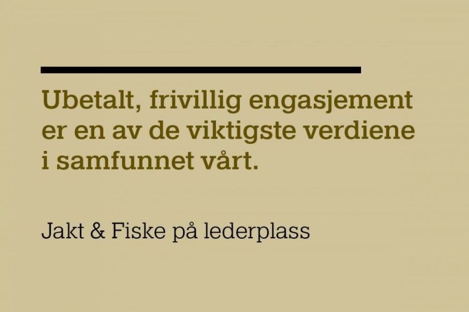 Den verdifulle frivilligheten
