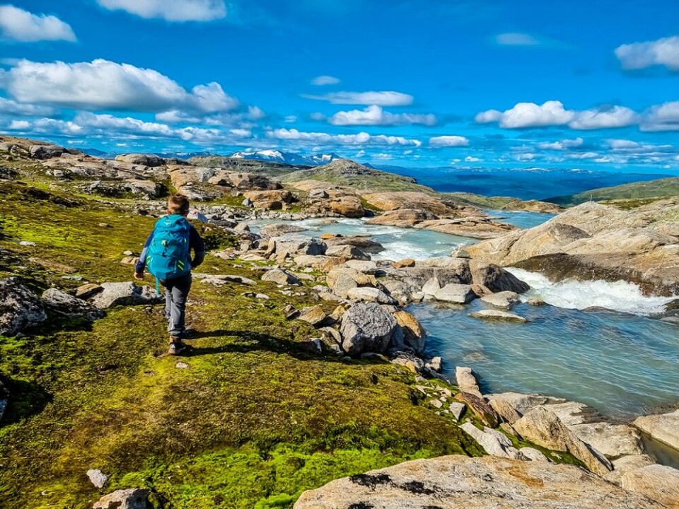 I klassen «Familien på tur» gikk dette motivet til topps. Gråfjellhytta ligger et steinkast fra Okstindbreen, i et storslått naturlandskap. Viljar (6) tar seg fram langs breelva Jordåga, forteller Nina Myrlund, som synes det var stor stas med førsteplass i denne konkurransen! I klassen «Familien på tur» gikk dette motivet til topps. Gråfjellhytta ligger et steinkast fra Okstindbreen, i et storslått naturlandskap. Viljar (6) tar seg fram langs breelva Jordåga, forteller Nina Myrlund, som synes det var stor stas med førsteplass i denne konkurransen!