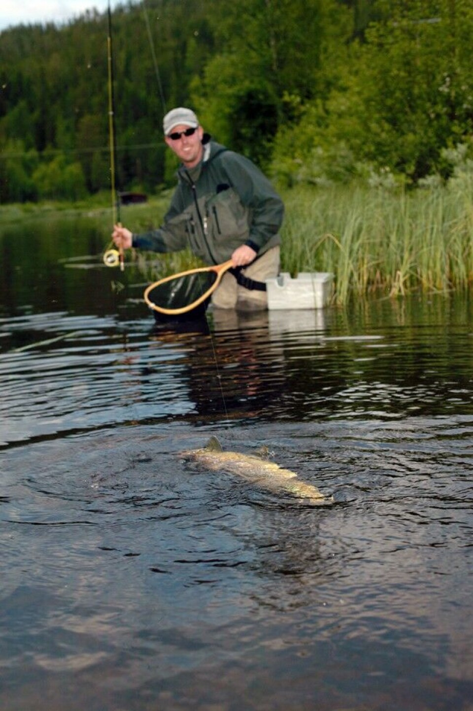Alle våre destinasjoner huser stor fisk, og tiltrekker seg også de mest dedikerte fiskerne. Her er en ørret på 2,1 kilo klar for landing i en av Engerdalens fiskerike småelver. Alle våre destinasjoner huser stor fisk, og tiltrekker seg også de mest dedikerte fiskerne. Her er en ørret på 2,1 kilo klar for landing i en av Engerdalens fiskerike småelver.