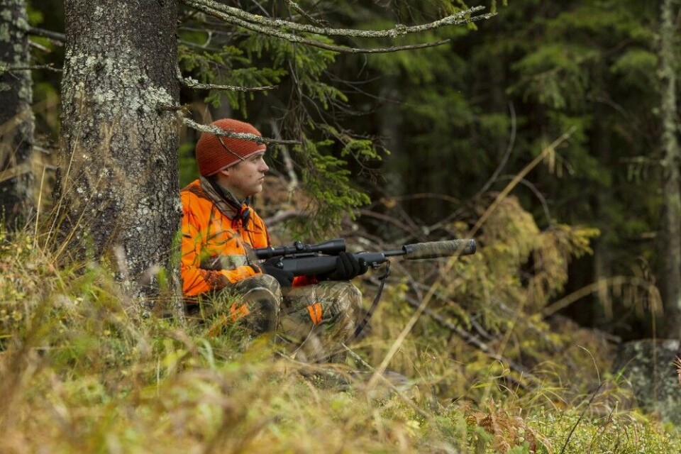 Hvis du alltid opptrer som om det er dyr i nærheten, øker sjansen for å få dyr på post. Hvis du alltid opptrer som om det er dyr i nærheten, øker sjansen for å få dyr på post.