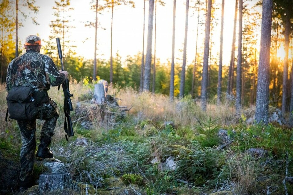 Gode forberedelser er halve jobben. Det gjelder også for bukkejakta. Gode forberedelser er halve jobben. Det gjelder også for bukkejakta.