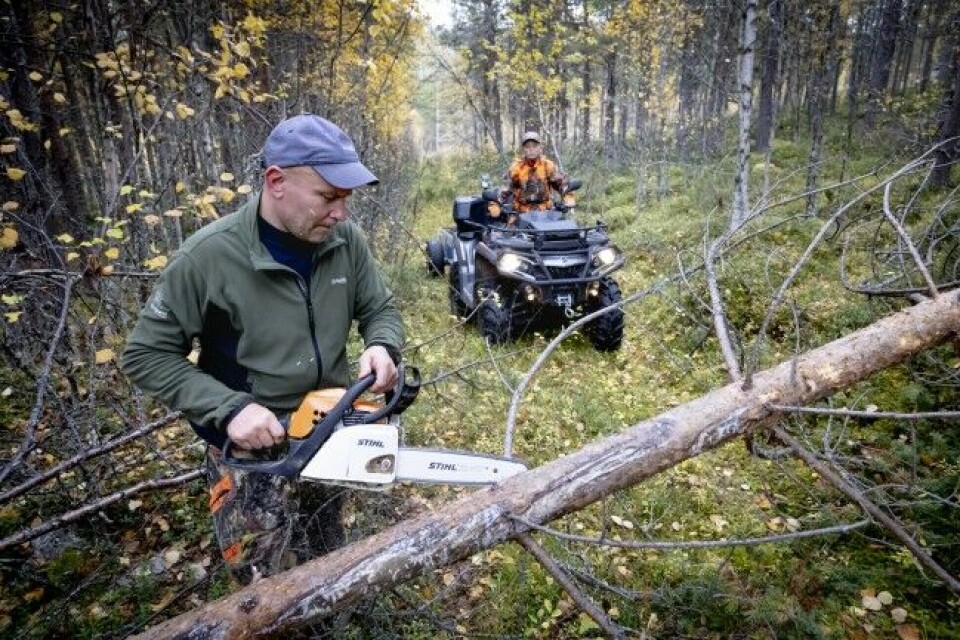 Hjorten skal kjøres ut av terrenget, og da må firehjulingen fram. Her Inge Hansen med motorsaga, og Runar Hansen på firehjulingen. Hjorten skal kjøres ut av terrenget, og da må firehjulingen fram. Her Inge Hansen med motorsaga, og Runar Hansen på firehjulingen.