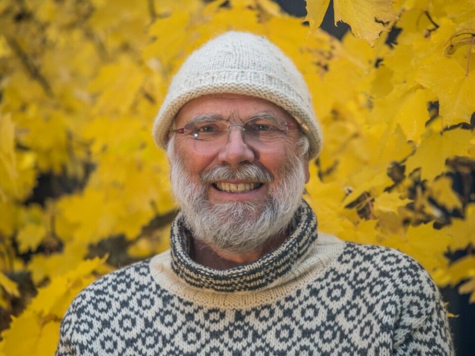 Professor emeritus, Torstein Storaas, ved avdeling for anvendt økologi ved Høgskolen i Innlandet, ser ingen grunn til å forby utsetting av fasan og rapphøns i Norge, slik dette foregår i dag.