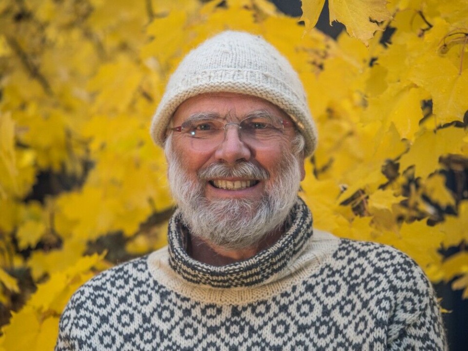 Professor emeritus, Torstein Storaas, ved avdeling for anvendt økologi ved Høgskolen i Innlandet, ser ingen grunn til å forby utsetting av fasan og rapphøns i Norge, slik dette foregår i dag. Professor emeritus, Torstein Storaas, ved avdeling for anvendt økologi ved Høgskolen i Innlandet, ser ingen grunn til å forby utsetting av fasan og rapphøns i Norge, slik dette foregår i dag.