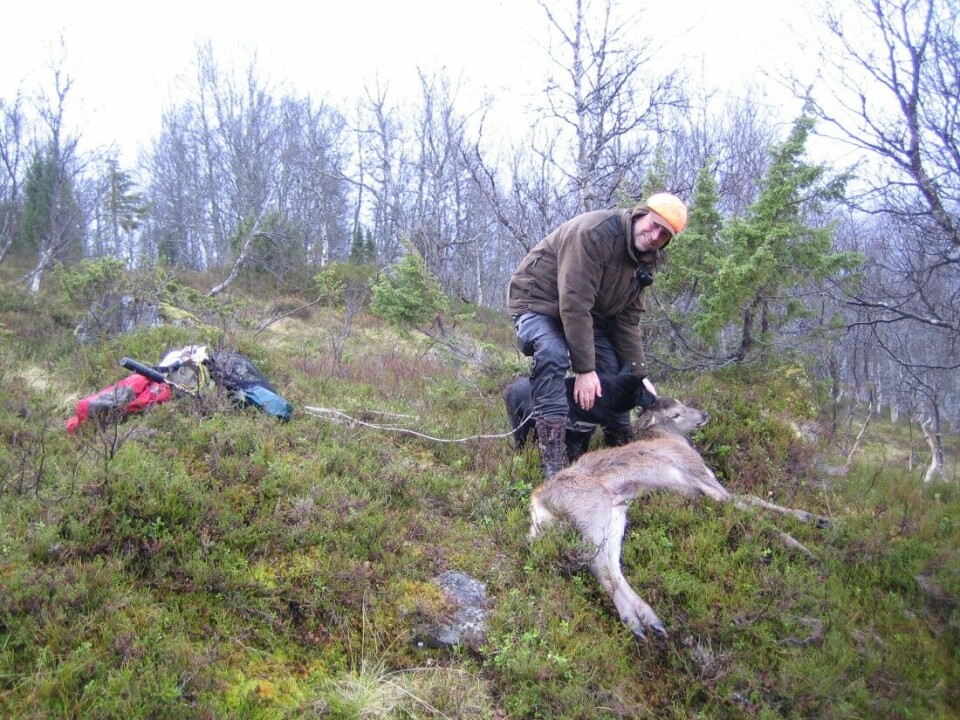 Fellingstallene tyder på at FriKalv-ordningen så langt har blitt mest benyttet i de største valdene. Fellingstallene tyder på at FriKalv-ordningen så langt har blitt mest benyttet i de største valdene.